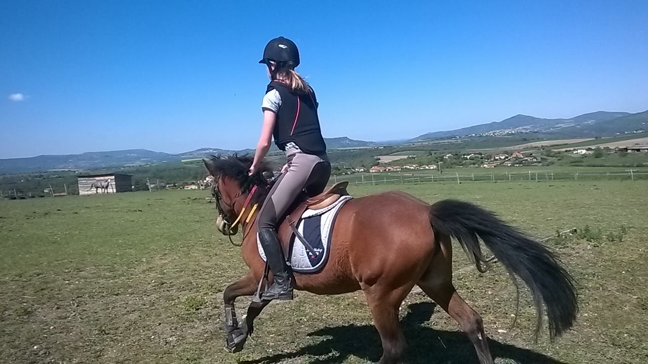 Cours d'équitation à poney et cheval en Auvergne